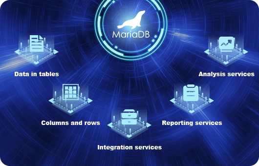 What is MariaDB